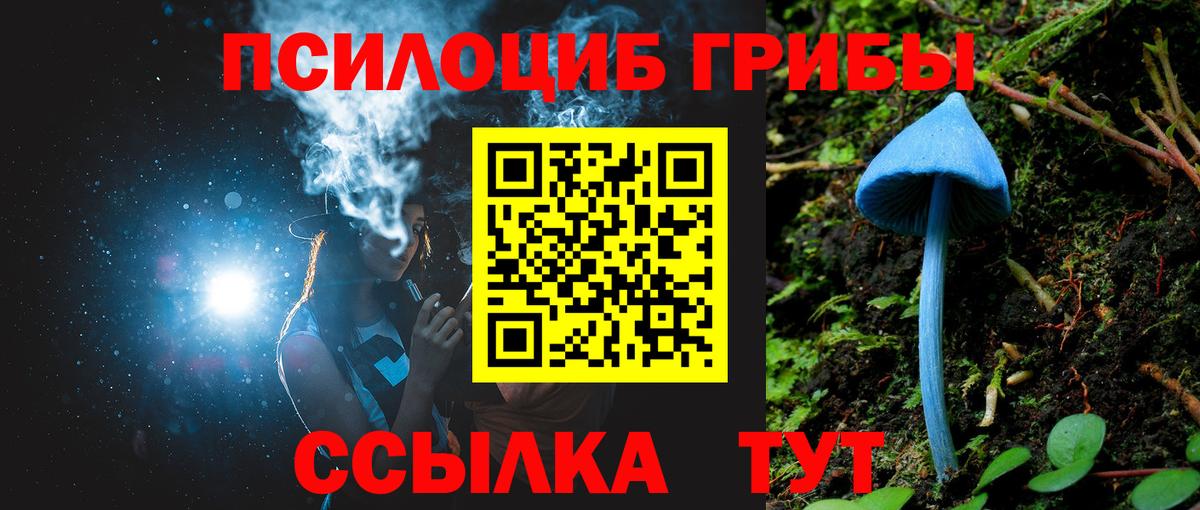 Галлюциногенные грибы Cubensis Соликамск