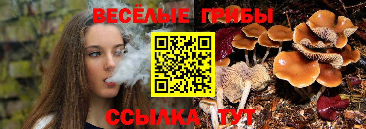 Соликамск  Галлюциногенные грибы GOLDEN TEACHER  Вход с VPN 